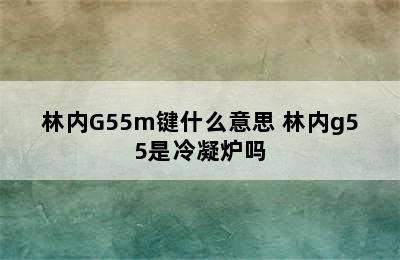 林内G55m键什么意思 林内g55是冷凝炉吗